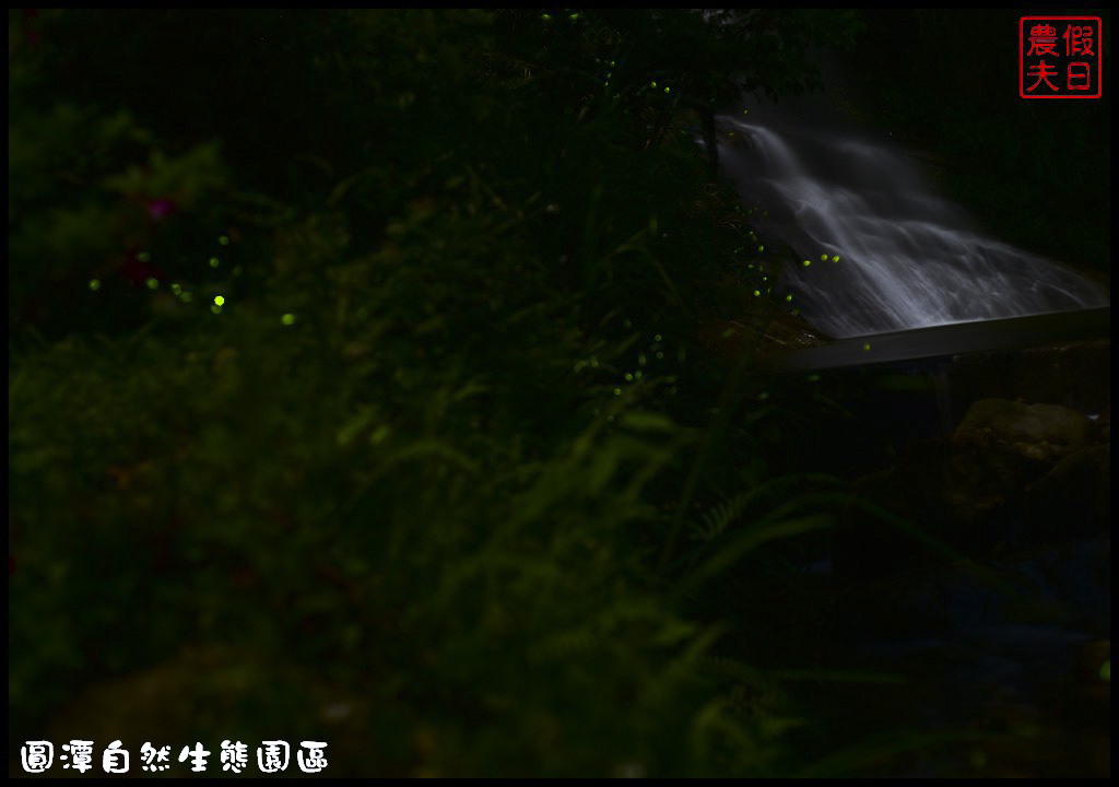 圓潭自然生態園區DSC_6925