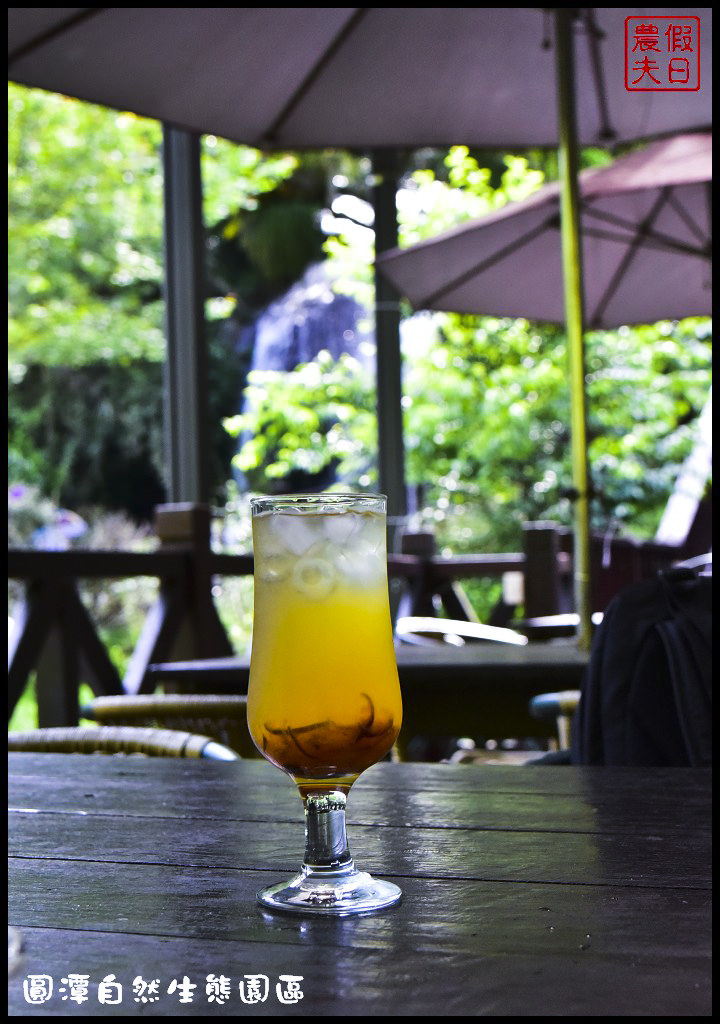 圓潭自然生態園區DSC_6818