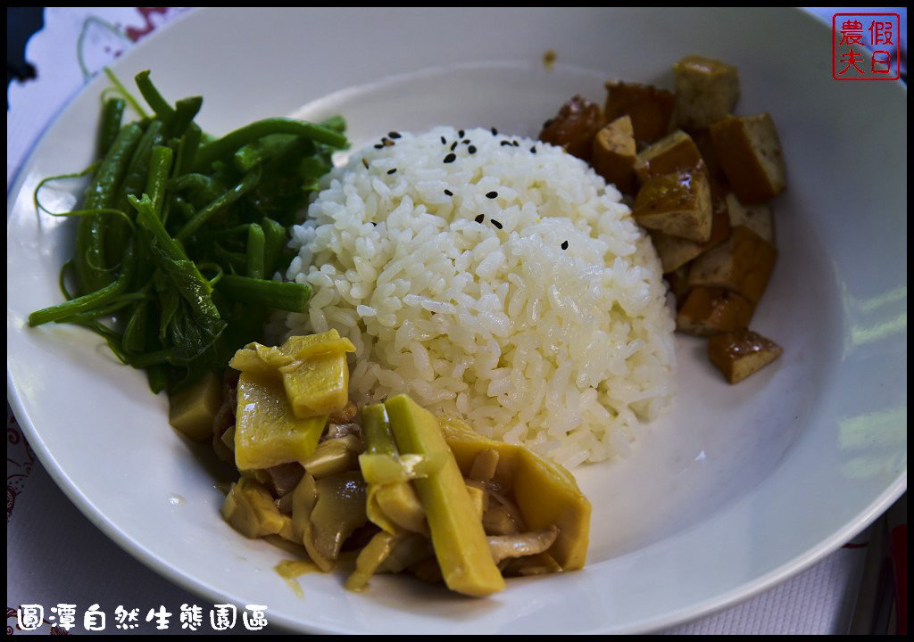 圓潭自然生態園區DSC_6786