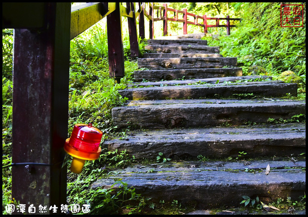 圓潭自然生態園區DSC_6856