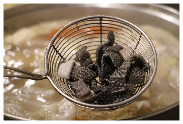 1050430-番那彊溫體牛-28