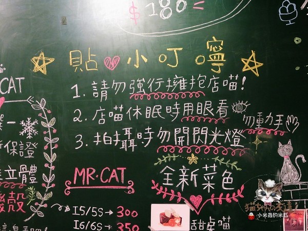 貓咪先生的朋友：【捷運忠孝復興站】貓咪先生的朋友 ~美式早午餐/下午茶，有貓咪坐鎮的可愛小店♥