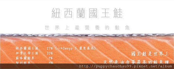 [盛和風食集]紐西蘭國王鮭魚(2)