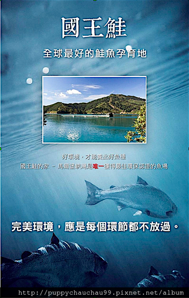 [盛和風食集]紐西蘭國王鮭魚(1)