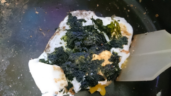 cm20160508___65246449f0d5c679356e9055375