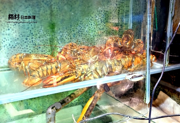 梅村日本料理(衡陽店):【捷運西門站/定食/生魚片/日本料理 推薦】西門町平價日本料理老店 ✿✿ 梅村日本料理 ✿✿