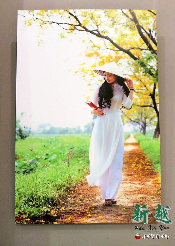 新越 越南麵食館：【捷運後山埤站｜五分埔】新越越南麵食館~平價好吃的越南美食