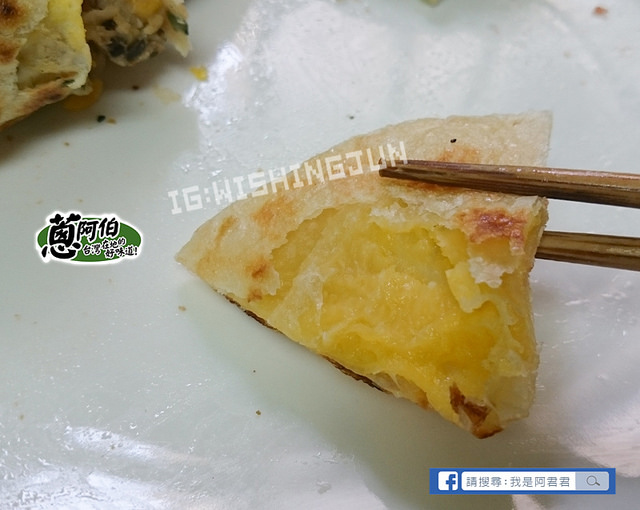 蔥阿伯一本鮮_阿君君-0088