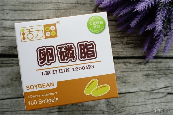 活力媽媽 (2).JPG