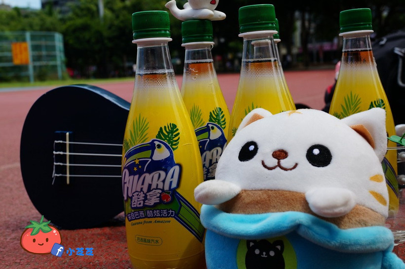 巴西汽水 Guara酷拿