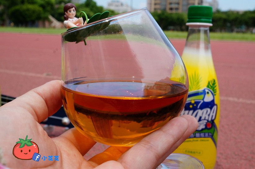 巴西汽水 Guara酷拿