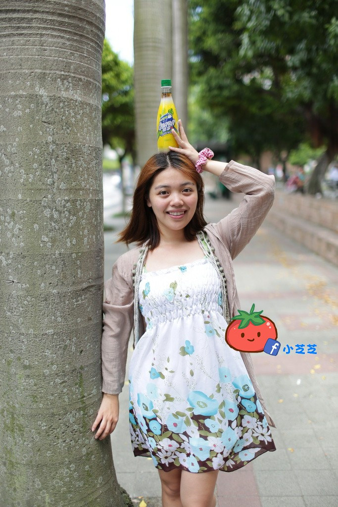 巴西汽水 Guara酷拿