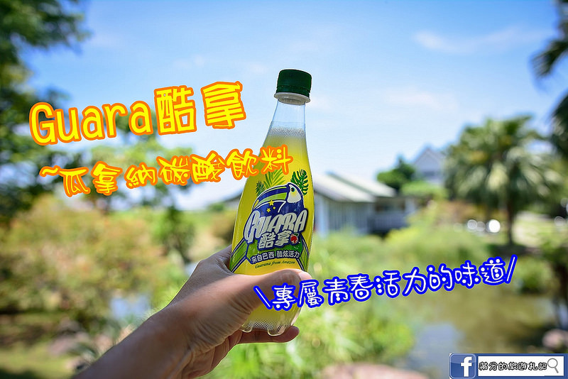 28459494211_d82a4ea09c_h