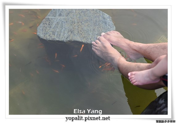 翡翠灣夏日樂園