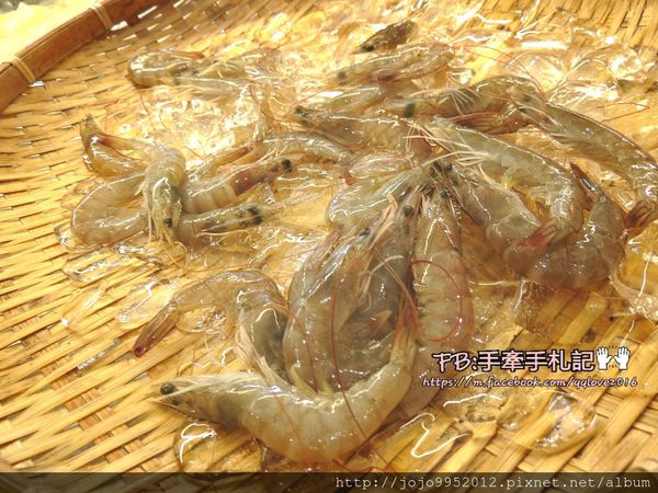 25511-1470020308-2183821146_n.jpg?v=1470036677