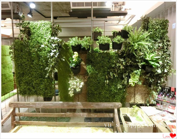 14203105_1254584467893695_7970456027268260352_n