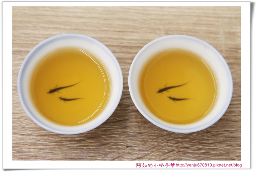 烏龍加糖 (1)20.jpg