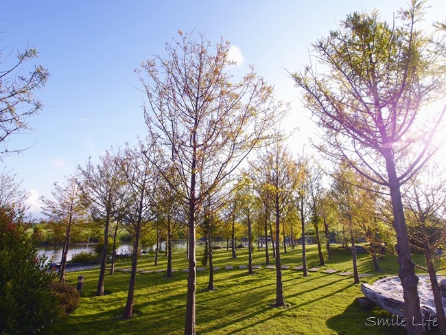 │宿。宜蘭五結│親子民宿「傳藝渡假會館」。親子沙坑、綠地湖畔美景、釣魚…完全可免追行程的清幽愜意
