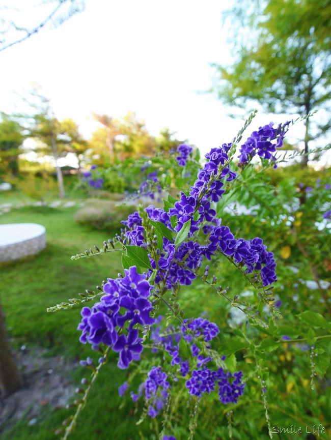 │宿。宜蘭五結│親子民宿「傳藝渡假會館」。親子沙坑、綠地湖畔美景、釣魚…完全可免追行程的清幽愜意