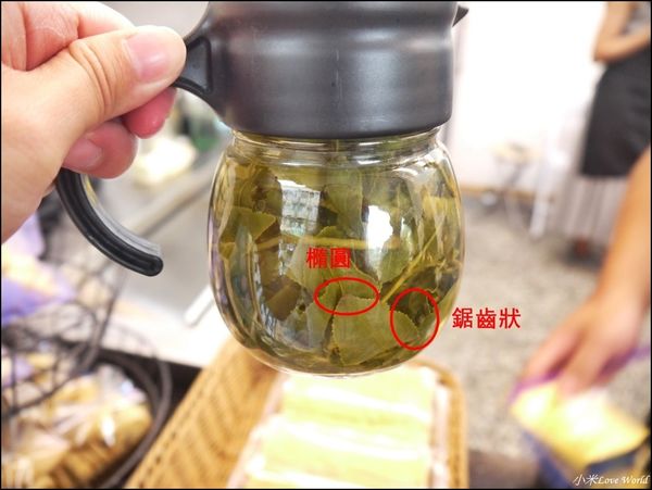 高雄岡山原茗茶坊P1560656_調整大小1.JPG
