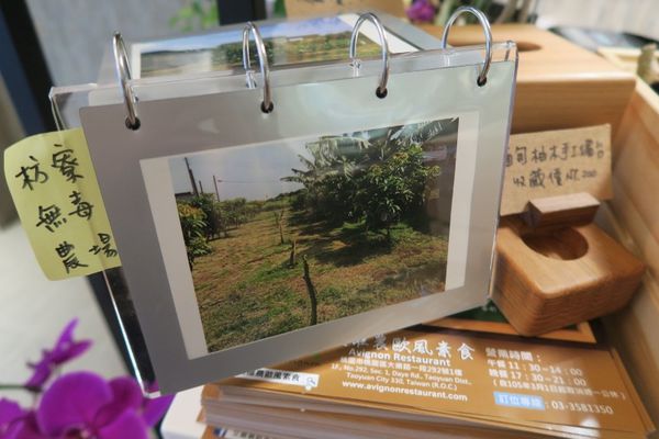 IMG_3136 (800x533).jpg