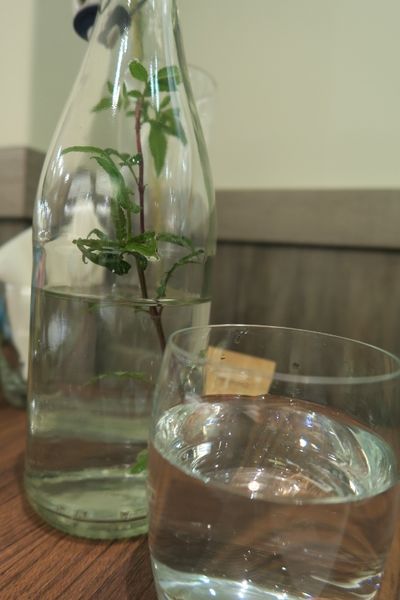 IMG_3124 (533x800).jpg