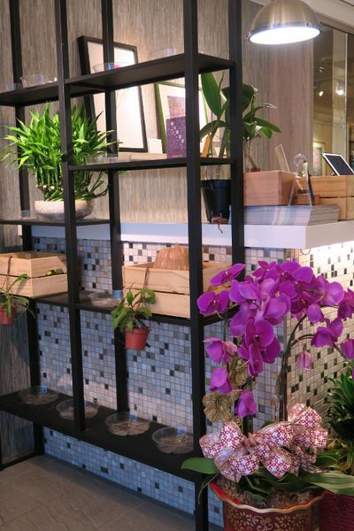 IMG_3120 (533x800).jpg