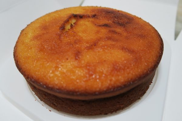 IMG_3233 (800x533).jpg