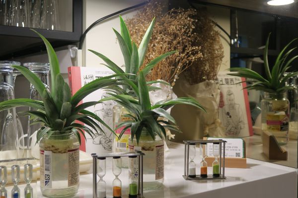 IMG_3115 (800x533).jpg