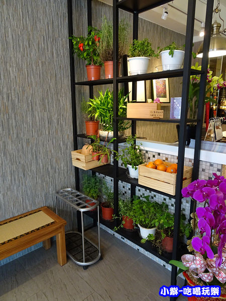 香草植物 (2)24.jpg