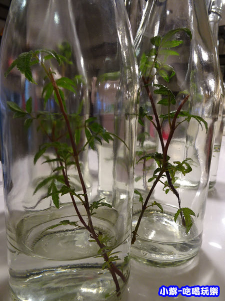 艾維農歐風素食x藝文畫廊 (17)15.jpg