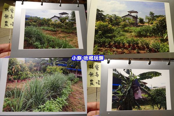 枋寮無毒農場-拼圖.jpg