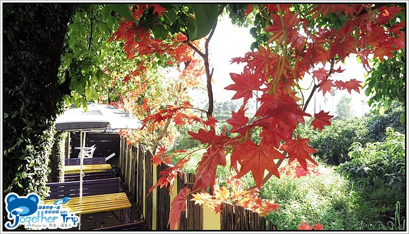 麥克亞倫渡假村 / 高雄