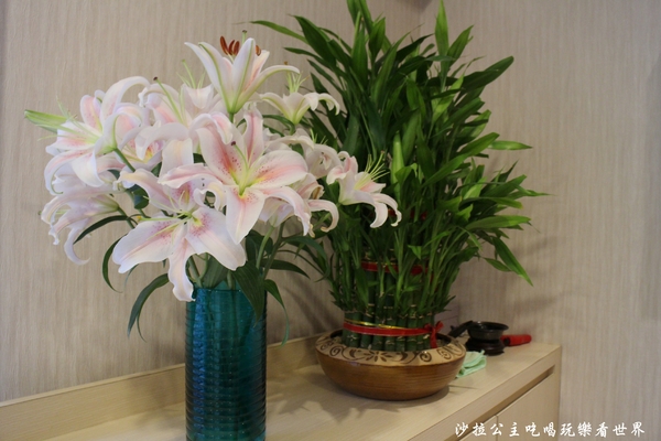 樂活氧身足體概念館：板橋腳底按摩『樂活氧身足體概念館』油壓指壓/捷運江子翠站