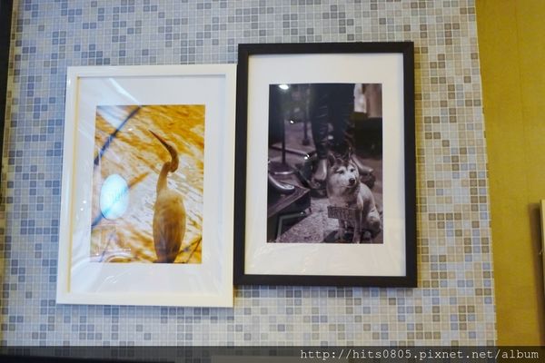 P1520417 (1280x852).jpg