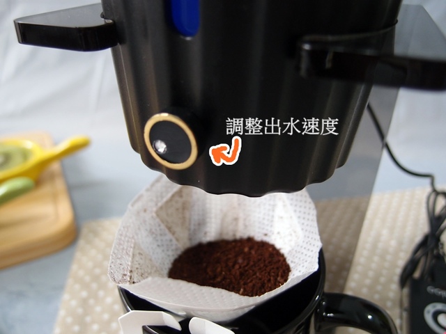 cats8-1.jpg - 日誌用相簿