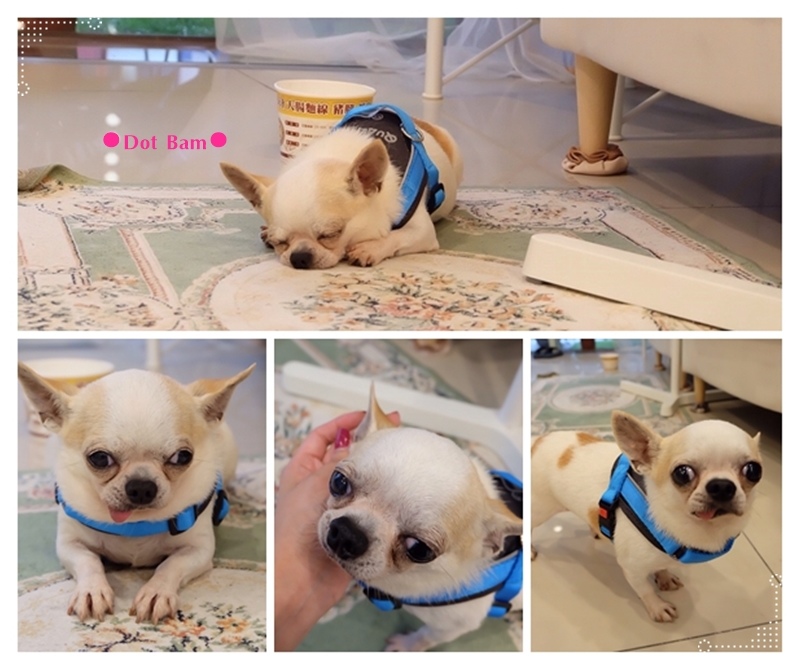 Essence本質 凝膠美甲 崔先生.jpg