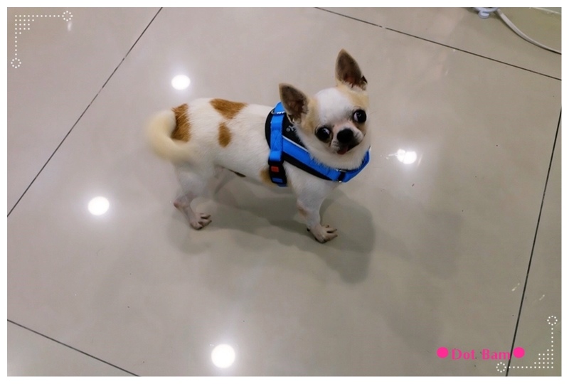 Essence本質 凝膠美甲 崔先生.JPG