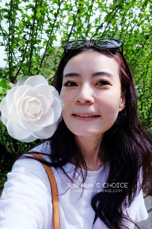 弄甲成臻山茶花美睫戶外照