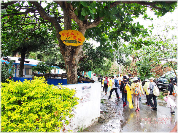 阿朗壹古道.瑯嶠卑南古道