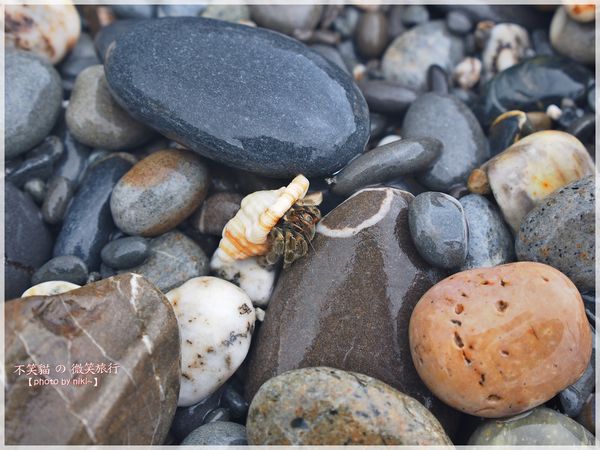 阿朗壹古道.瑯嶠卑南古道