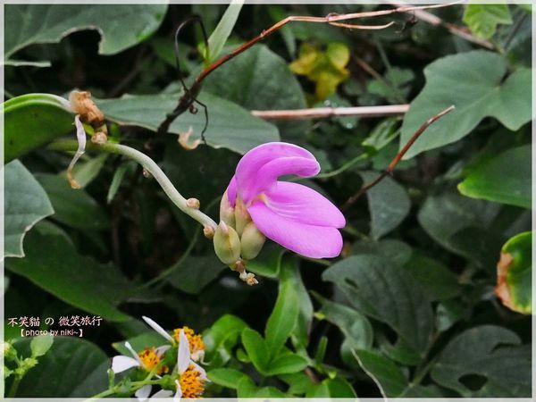 阿朗壹古道.瑯嶠卑南古道