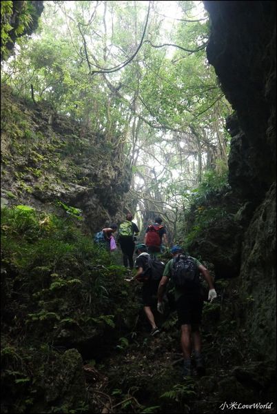高雄壽山猴洞鐘乳石洞P1630157_調整大小1.JPG