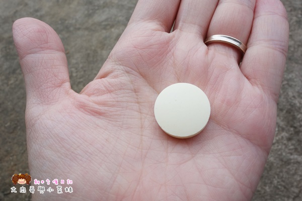 威得in電解錠 (19).JPG