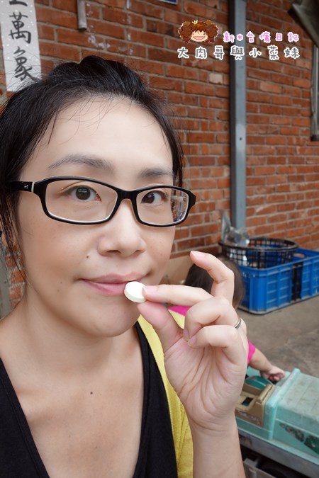 威得in電解錠 (20).JPG