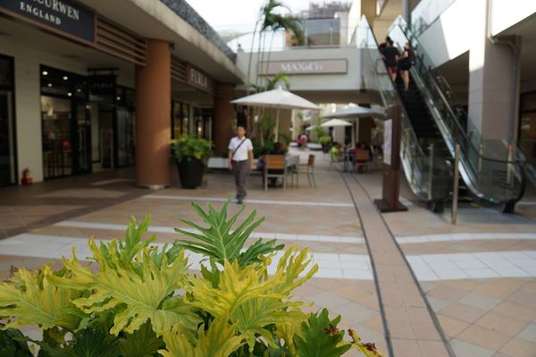 1051014-林口三井Mappa-01