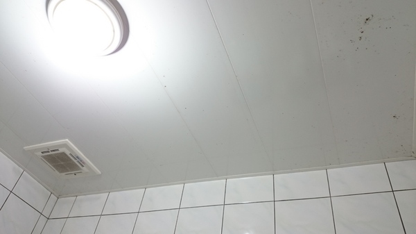 cm20161111___20760e6713ef5a61adea33526d2