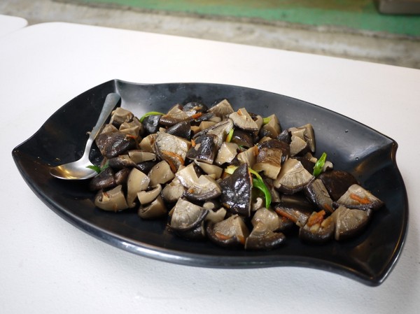 2016新北悠遊趣-烏來原住民部落(西羅岸)：2016新北悠遊趣-獵人學校(給樹營地)