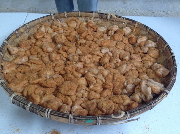 2016新北悠遊趣-烏來原住民部落(西羅岸)：2016新北悠遊趣-獵人學校(給樹營地)