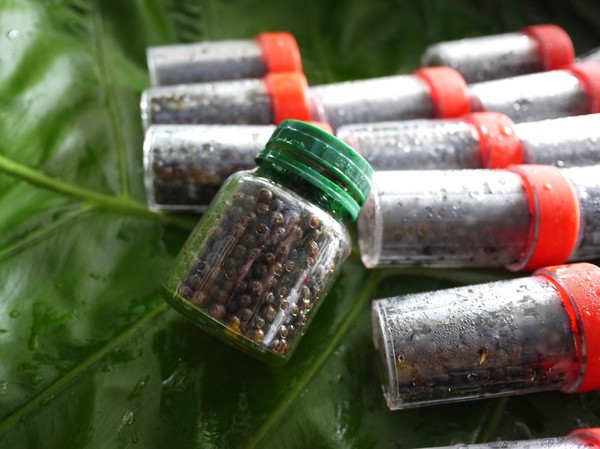 2016新北悠遊趣-烏來原住民部落(西羅岸)：2016新北悠遊趣-獵人學校(給樹營地)